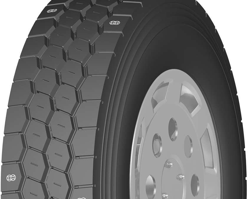 Double Coin RR738